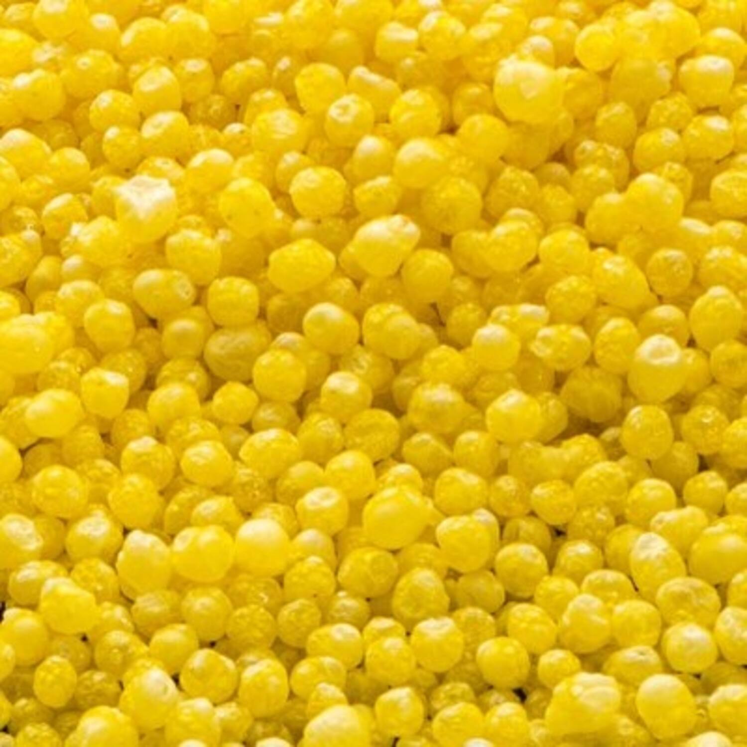 Decor Corn Pearls