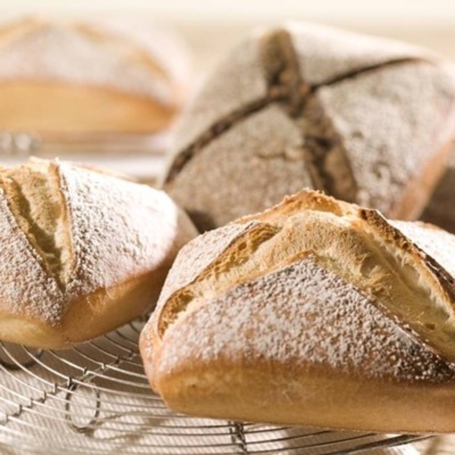 Wunderbrötchen 25 MZ