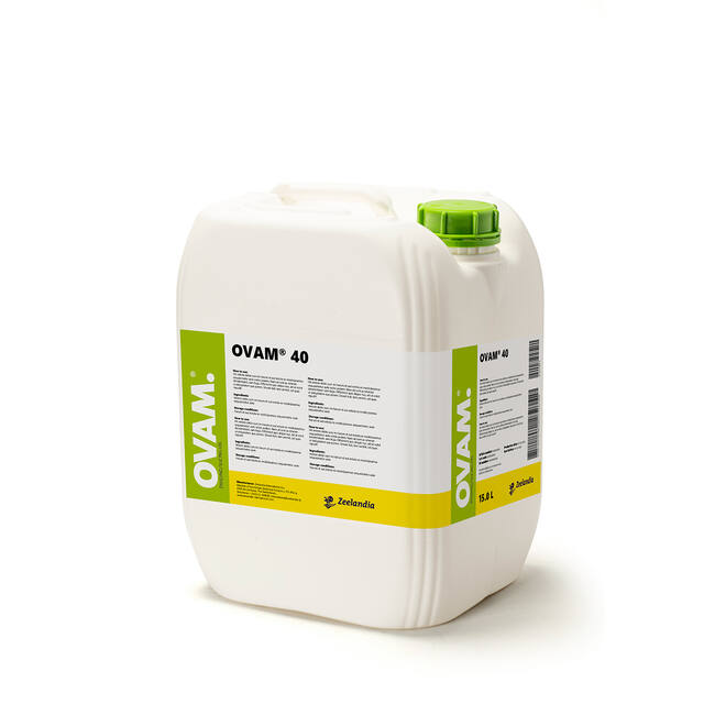 Ovam 40