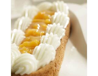 Fruitful Apricot