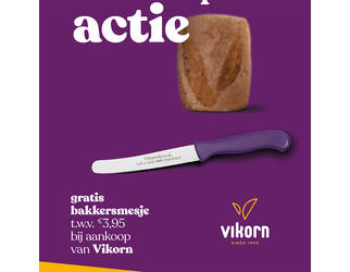 VIKORN MESJES Prom.