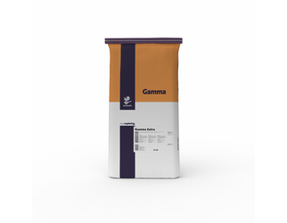 Gamma Extra