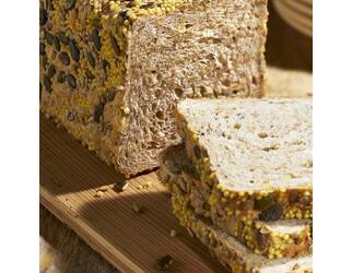 Panovite Spelt Licht