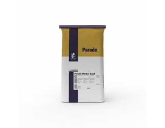 Parade Oliebol Goud
